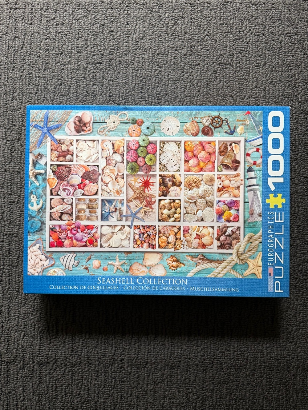 Eurographics Seashell Collection 1000-Piece Puzzle -l